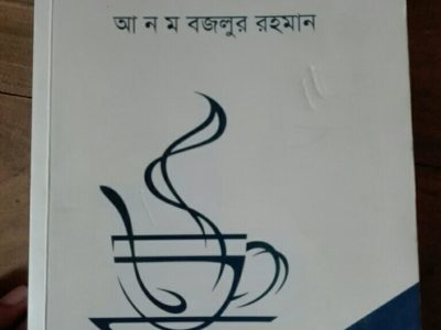 জাভা প্রোগ্রামিং by আ ন ম বজলুর