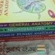 Anatomy book